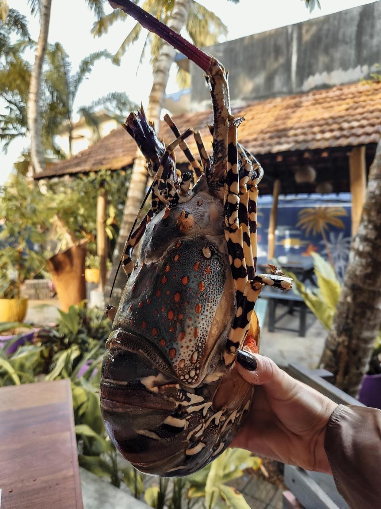 Daffodil Restaurant & Holiday Resort อูนาวาตูนา ภายนอก รูปภาพ